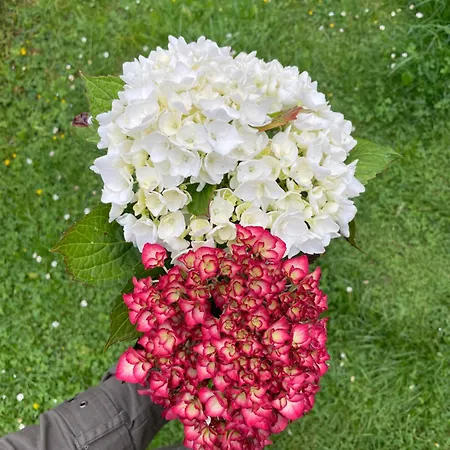 Tolle 2-zimmer In Elberfeld *