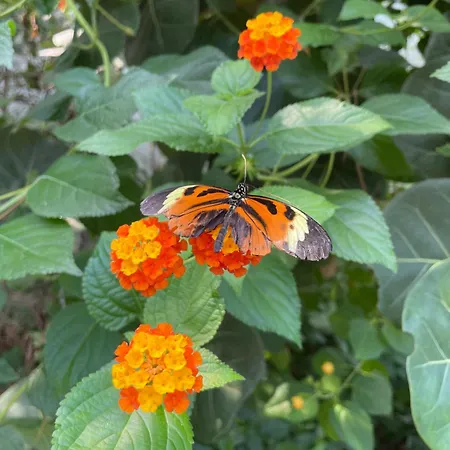 Tolle 2-zimmer In Elberfeld Daire Wuppertal