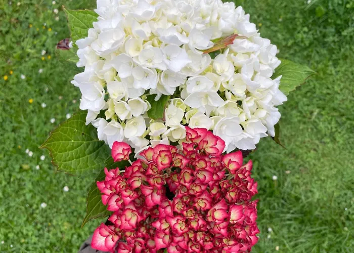 Tolle 2-zimmer In Elberfeld *