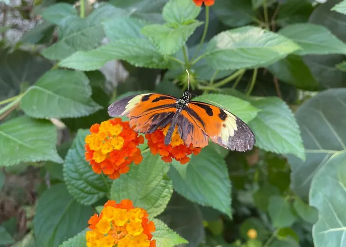 Tolle 2-zimmer In Elberfeld 公寓 伍珀塔尔